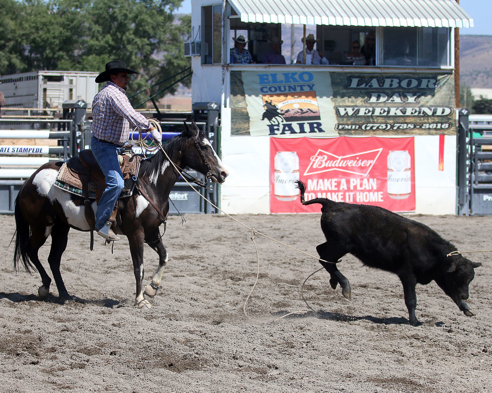 2018 Elko County Fair Open Branding Finals (9).JPG